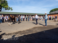 DS091023-18 - Dan Skelton stable visit